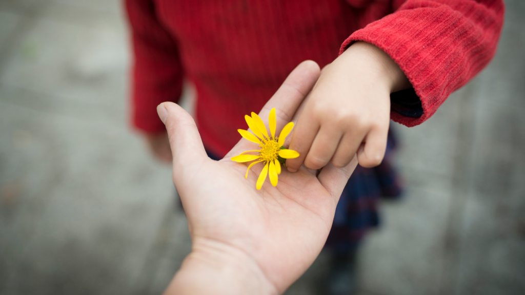 child with red sweater placing yelow flower in an adult's hand