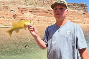 young boy holding a yello fish he just caught in an Arizona lake with a beautiful butte in the background.